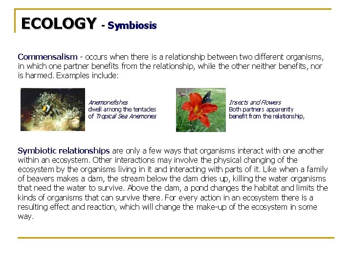 ECOLOGY - Symbiosis Commensalism - occurs when there is a relationship between two different