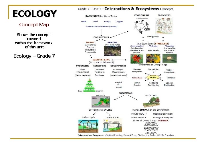 ECOLOGY Concept Map Shows the concepts covered within the framework of this unit Ecology