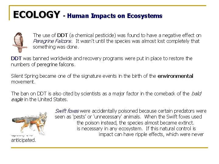 ECOLOGY - Human Impacts on Ecosystems The use of DDT (a chemical pesticide) was