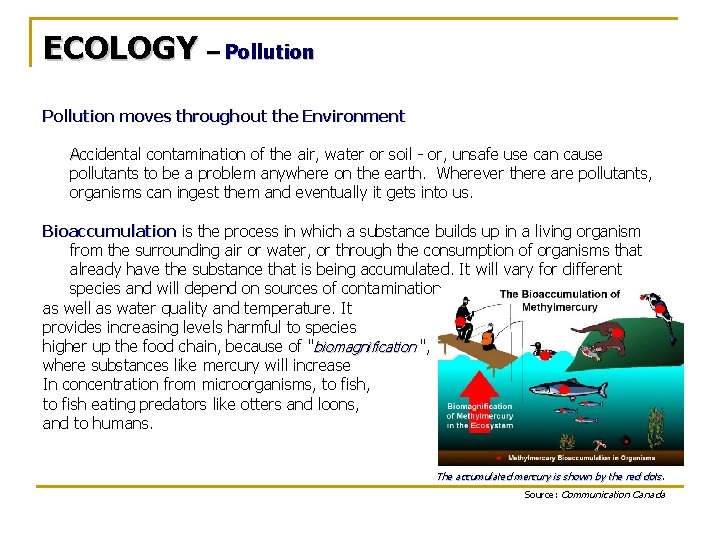 ECOLOGY – Pollution moves throughout the Environment Accidental contamination of the air, water or