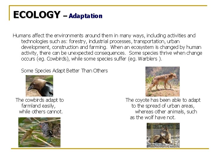 ECOLOGY – Adaptation Humans affect the environments around them in many ways, including activities