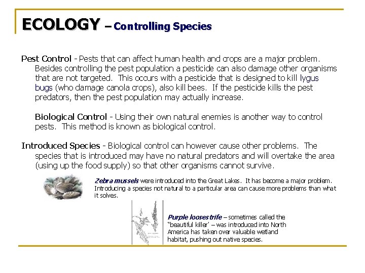 ECOLOGY – Controlling Species Pest Control - Pests that can affect human health and