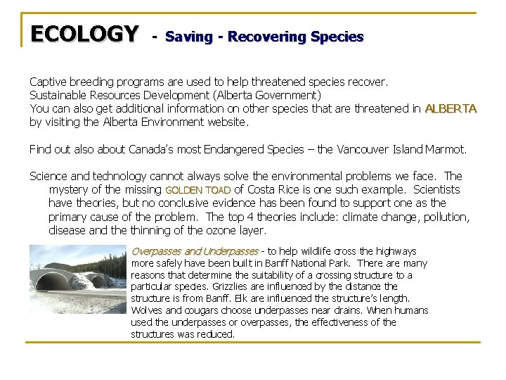 ECOLOGY - Saving - Recovering Species Captive breeding programs are used to help threatened