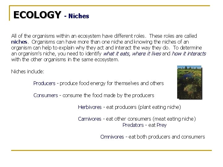 ECOLOGY - Niches All of the organisms within an ecosystem have different roles. These