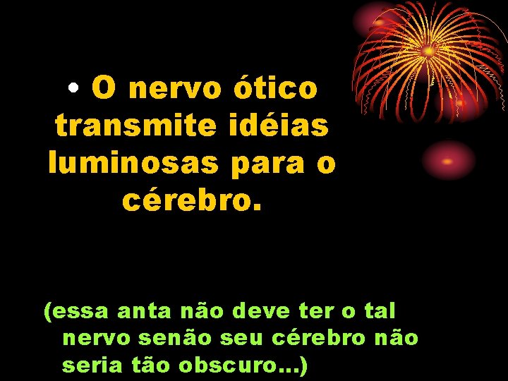  • O nervo ótico transmite idéias luminosas para o cérebro. (essa anta não