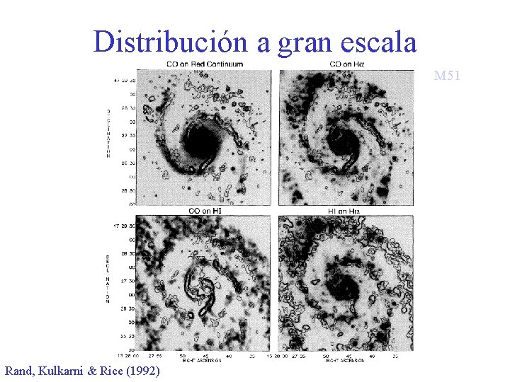 Distribución a gran escala M 51 Rand, Kulkarni & Rice (1992) 