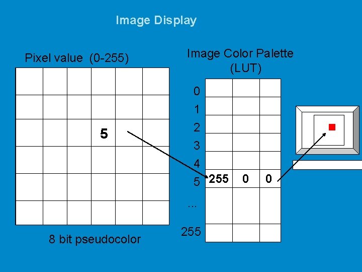 Image Display Pixel value (0 -255) 5 Image Color Palette (LUT) 0 1 2