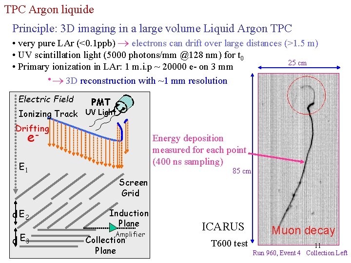 TPC Argon liquide Principle: 3 D imaging in a large volume Liquid Argon TPC