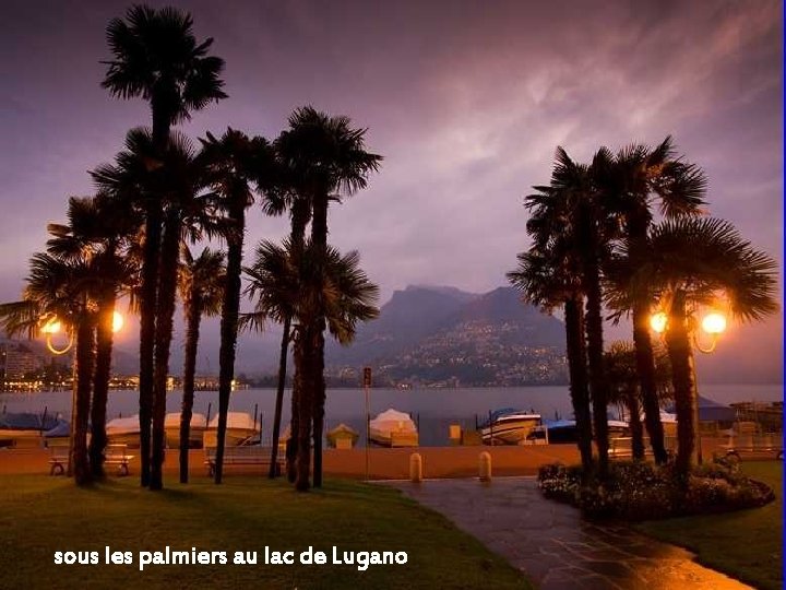 sous les palmiers au lac de Lugano 