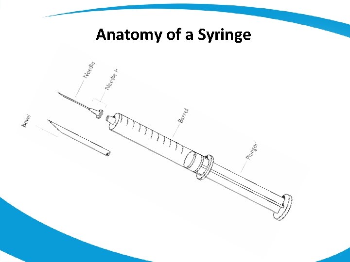 Anatomy of a Syringe 