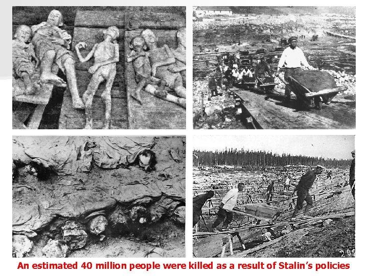 An estimated 40 million people were killed as a result of Stalin’s policies 