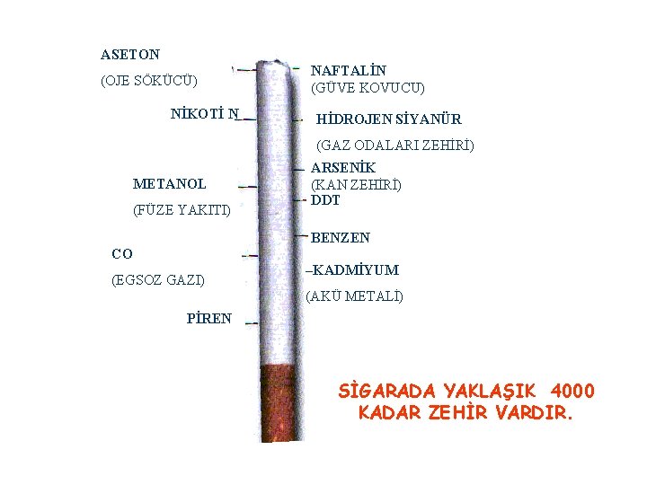 ASETON (OJE SÖKÜCÜ) NİKOTİ N NAFTALİN (GÜVE KOVUCU) HİDROJEN SİYANÜR (GAZ ODALARI ZEHİRİ) METANOL