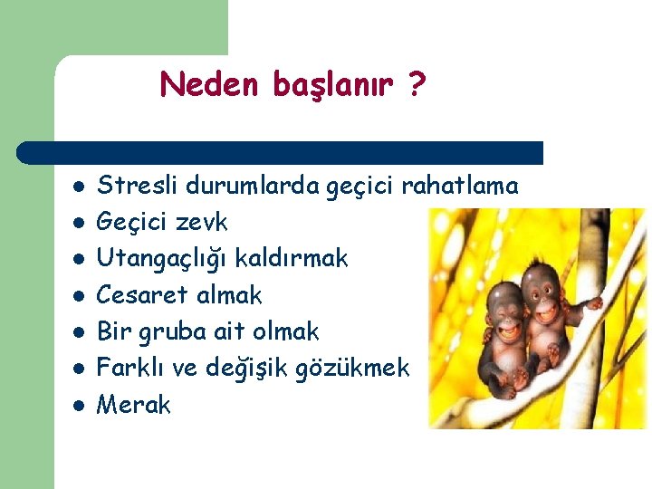 Neden başlanır ? l l l l Stresli durumlarda geçici rahatlama Geçici zevk Utangaçlığı