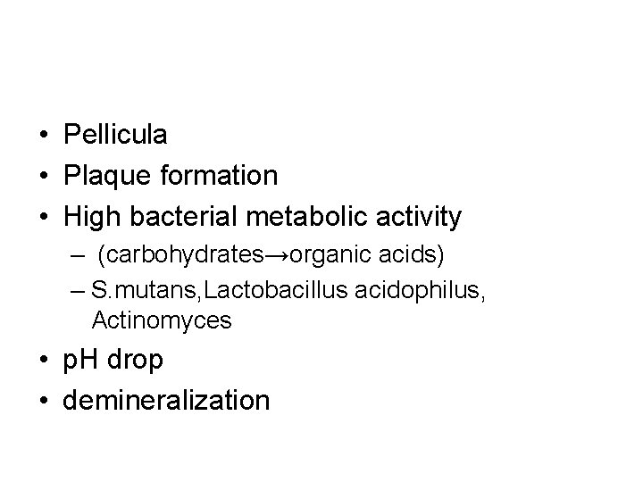  • Pellicula • Plaque formation • High bacterial metabolic activity – (carbohydrates→organic acids)