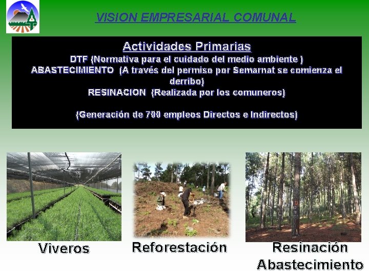 VISION EMPRESARIAL COMUNAL Actividades Primarias DTF (Normativa para el cuidado del medio ambiente ) VISION EMPRESARIAL COMUNAL Actividades Primarias DTF (Normativa para el cuidado del medio ambiente )