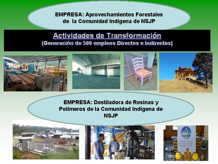 EMPRESA: Aprovechamientos Forestales de la Comunidad Indígena de NSJP Actividades de Transformación (Generación de EMPRESA: Aprovechamientos Forestales de la Comunidad Indígena de NSJP Actividades de Transformación (Generación de
