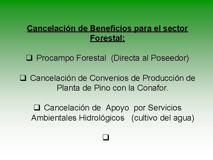 Cancelación de Beneficios para el sector Forestal: q Procampo Forestal (Directa al Poseedor) q Cancelación de Beneficios para el sector Forestal: q Procampo Forestal (Directa al Poseedor) q