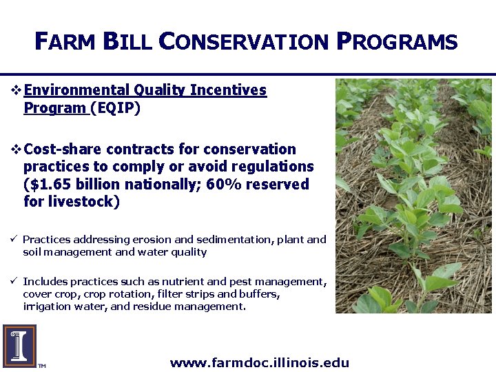 FARM BILL CONSERVATION PROGRAMS v Environmental Quality Incentives Program (EQIP) v Cost-share contracts for