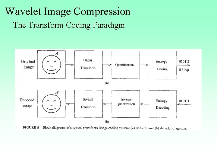 Wavelet Image Compression The Transform Coding Paradigm 