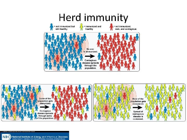 Herd immunity 