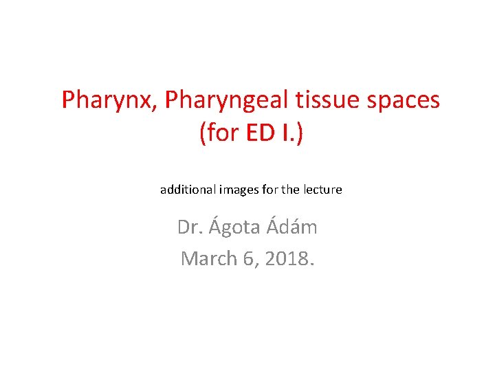 Pharynx, Pharyngeal tissue spaces (for ED I. ) additional images for the lecture Dr. Pharynx, Pharyngeal tissue spaces (for ED I. ) additional images for the lecture Dr.