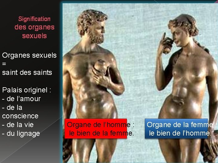Signification des organes sexuels Organes sexuels = saint des saints Palais originel : -