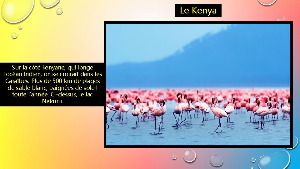 Le Kenya Sur la côté kenyane, qui longe l'océan Indien, on se croirait dans