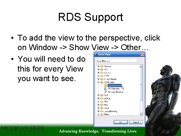 RDS Support • To add the view to the perspective, click on Window ->