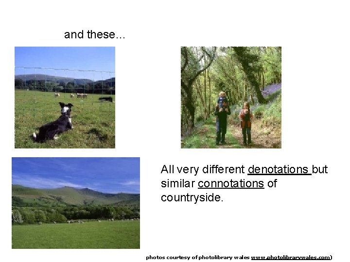 and these… All very different denotations but similar connotations of countryside. photos courtesy of