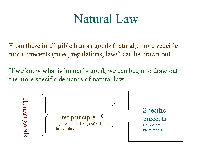 Natural Law From these intelligible human goods (natural), more specific moral precepts (rules, regulations,