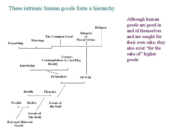 These intrinsic human goods form a hierarchy Although human goods are good in and