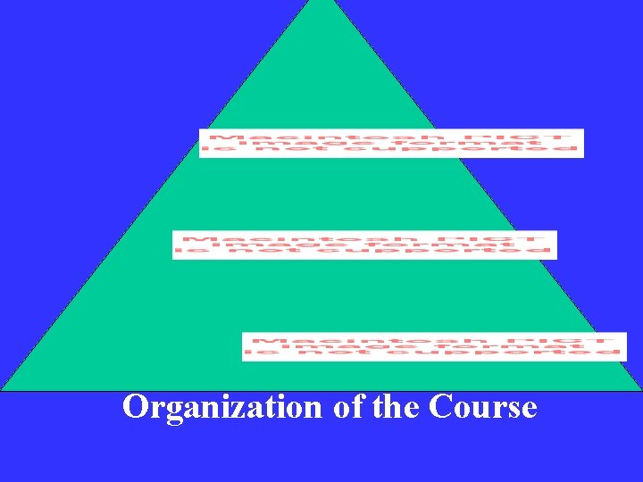 Organization of the Course 