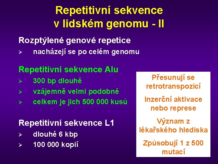 Repetitivní sekvence v lidském genomu - II Rozptýlené genové repetice Ø nacházejí se po