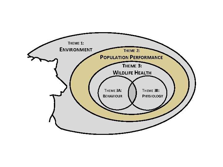 THEME 1: ENVIRONMENT THEME 2: POPULATION PERFORMANCE THEME 3: WILDLIFE HEALTH THEME 3 A: