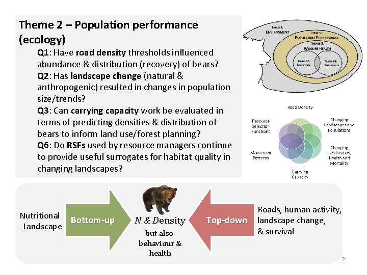 Theme 2 – Population performance (ecology) Q 1: Have road density thresholds influenced abundance