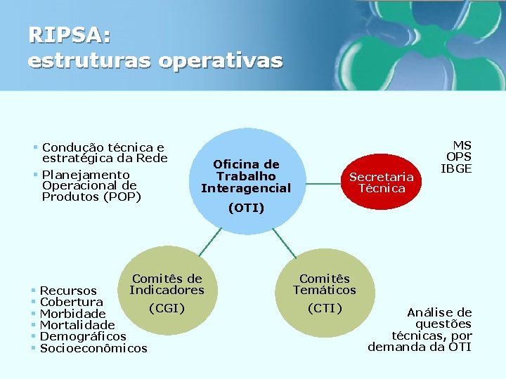 RIPSA: estruturas operativas § Condução técnica e estratégica da Rede § Planejamento Operacional de