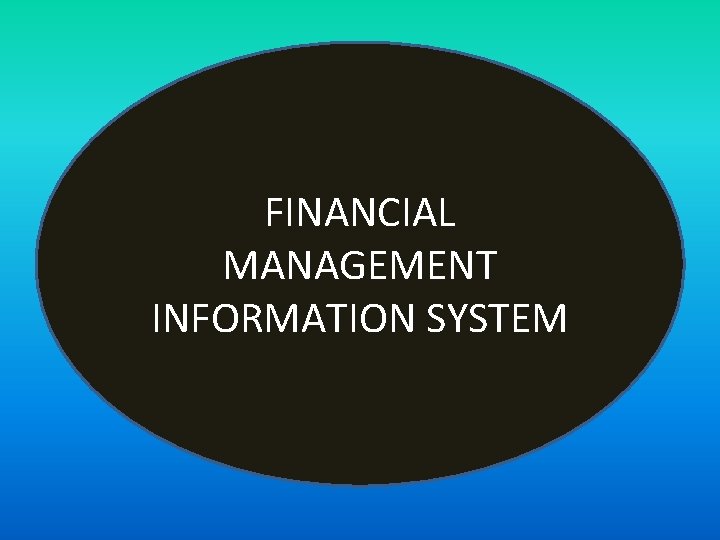 FINANCIAL MANAGEMENT INFORMATION SYSTEM 