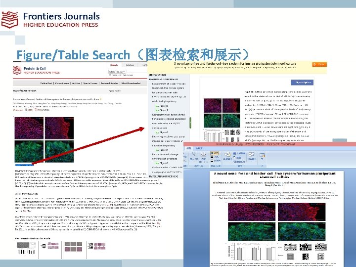 Figure/Table Search（图表检索和展示） 