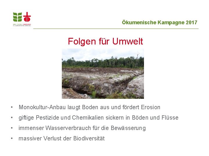 Ökumenische Kampagne 2017 Folgen für Umwelt • Monokultur-Anbau laugt Boden aus und fördert Erosion