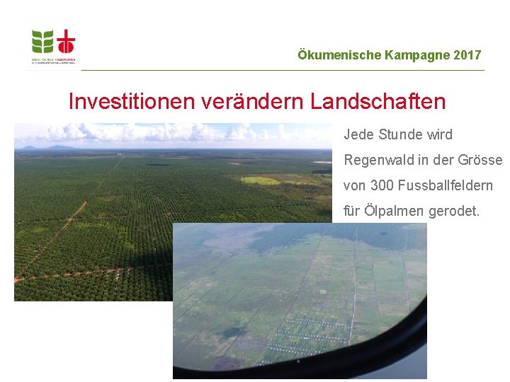 Ökumenische Kampagne 2017 Investitionen verändern Landschaften Jede Stunde wird Regenwald in der Grösse von