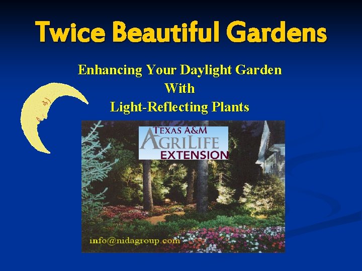 Twice Beautiful Gardens Enhancing Your Daylight Garden With Light-Reflecting Plants 