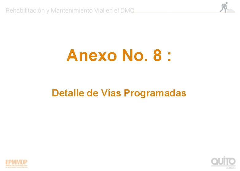 Anexo No. 8 : Detalle de Vías Programadas 