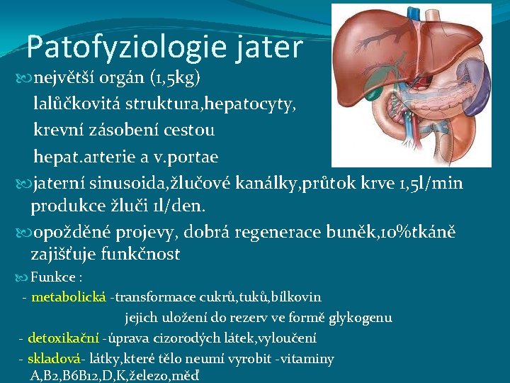 Patofyziologie jater největší orgán (1, 5 kg) lalůčkovitá struktura, hepatocyty, krevní zásobení cestou hepat.