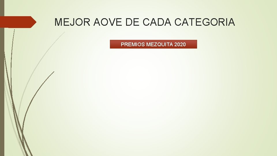 MEJOR AOVE DE CADA CATEGORIA PREMIOS MEZQUITA 2020 