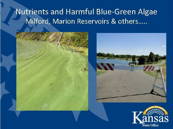 Nutrients and Harmful Blue-Green Algae Milford, Marion Reservoirs & others…. . 