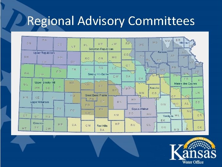 Regional Advisory Committees 