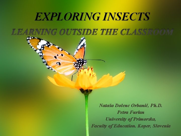 EXPLORING INSECTS LEARNING OUTSIDE THE CLASSROOM Nataša Dolenc Orbanić, Ph. D. Petra Furlan University