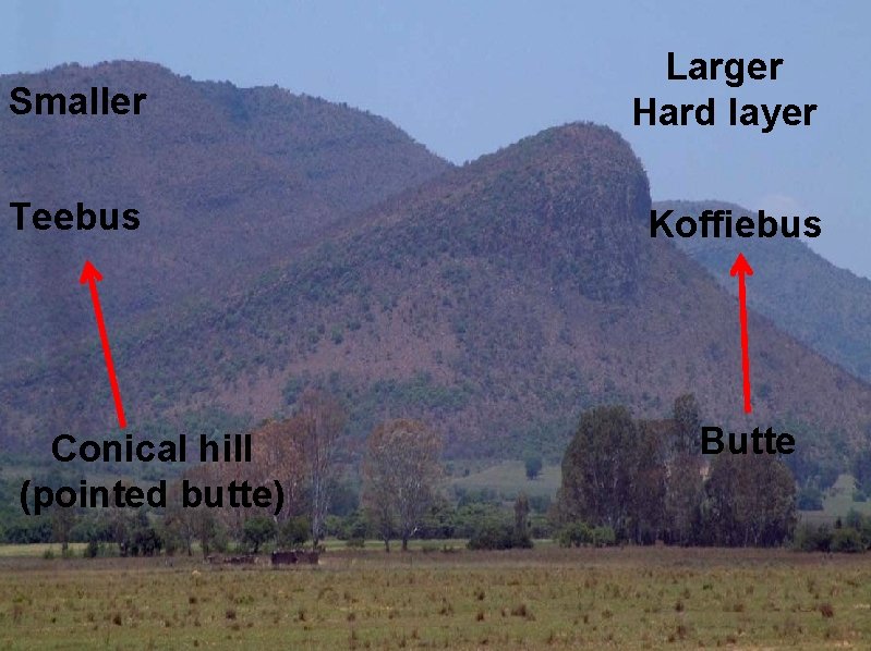 Smaller Larger Hard layer Teebus Koffiebus Conical hill (pointed butte) Butte 
