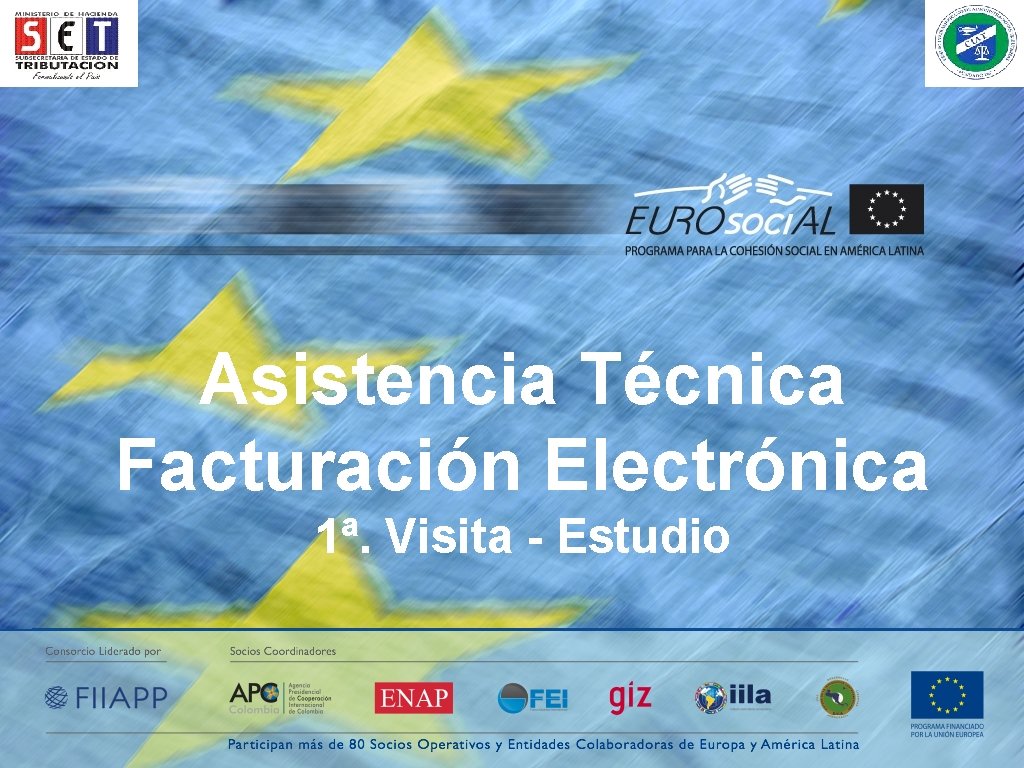 Asistencia Técnica Facturación Electrónica 1ª. Visita - Estudio 