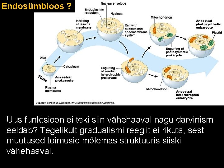 Endosümbioos ? Uus funktsioon ei teki siin vähehaaval nagu darvinism eeldab? Tegelikult gradualismi reeglit